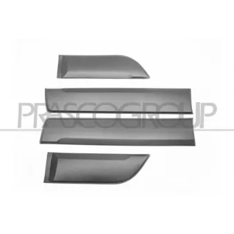Baguette et bande protectrice, porte PRASCO OEM 8201700230