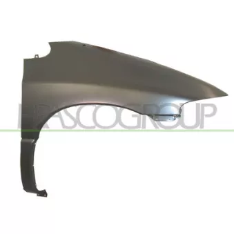 PRASCO DG0033004 - Aile avant gauche
