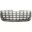 PRASCO DG0112001 - Grille de radiateur