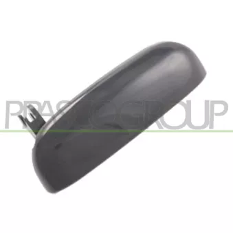 Poignée extérieure de porte avant droit PRASCO DS0058207