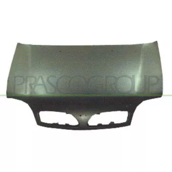 PRASCO DS0073100 - Capot-moteur