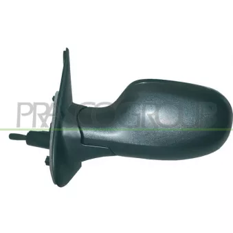 PRASCO DS0117114P - Rétroviseur extérieur