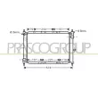 PRASCO DS011R008 - Radiateur, refroidissement du moteur