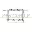 PRASCO DS011R011 - Radiateur, refroidissement du moteur