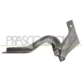 Charnière, capot-moteur PRASCO DS0143704