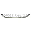 PRASCO DS0152206 - Baguette et bande protectrice, grille de radiateur