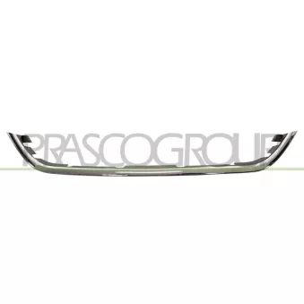 Baguette et bande protectrice, grille de radiateur PRASCO OEM 620703HN1A