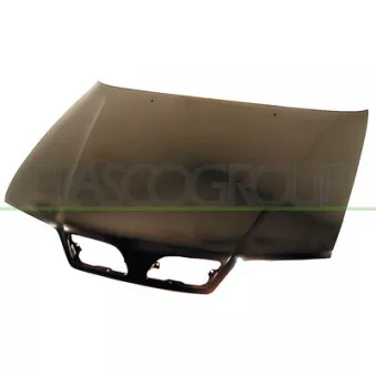 PRASCO DS1753100 - Capot-moteur
