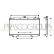 PRASCO DS175R001 - Radiateur, refroidissement du moteur