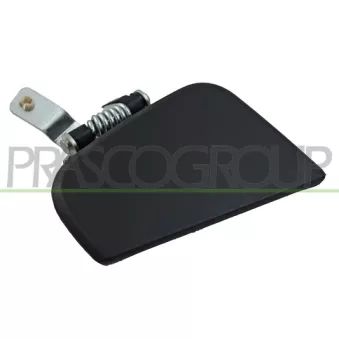 Poignée extérieure de porte arrière droit PRASCO DS2718101
