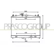 PRASCO DS300R001 - Radiateur, refroidissement du moteur