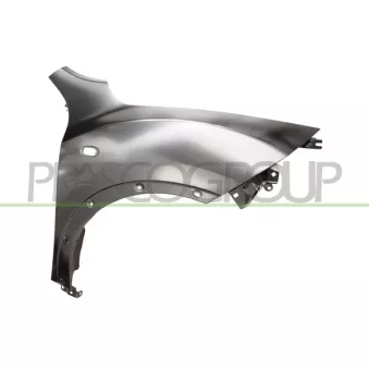 Aile avant droit PRASCO DS7003013