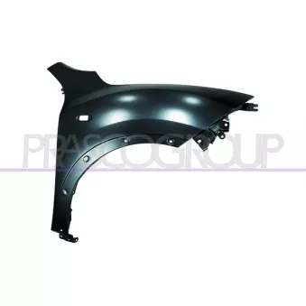 Aile avant droit PRASCO DS7003033