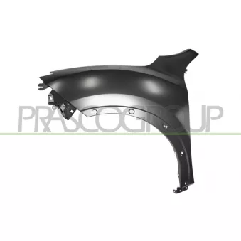 PRASCO DS7023024 - Aile avant gauche