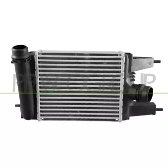 Intercooler, échangeur PRASCO DS702N001