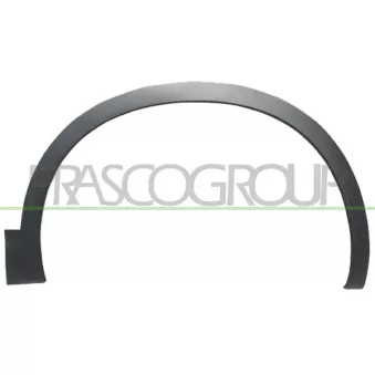 Élargissement, aile avant gauche PRASCO OEM 63811JD01D
