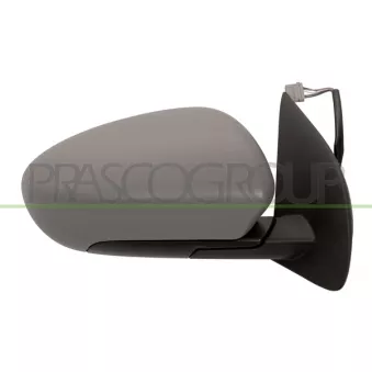 Rétroviseur extérieur PRASCO OEM 96301JD910