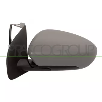 Rétroviseur extérieur PRASCO OEM 96302BR72A