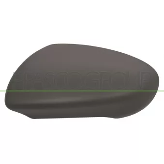Revêtement, rétroviseur extérieur PRASCO OEM 96374JD08E