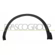 PRASCO DS7121592 - Baguette et bande protectrice, aile avant gauche