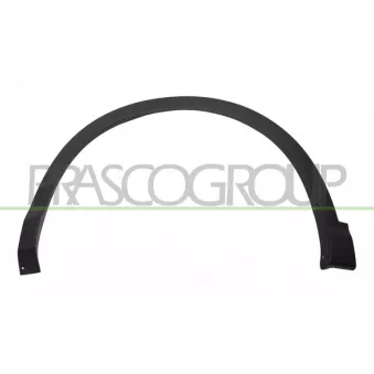 Baguette et bande protectrice, aile avant gauche PRASCO DS7121592