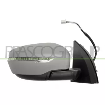 PRASCO DS7127313 - Rétroviseur extérieur