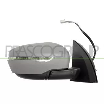 PRASCO DS7127334 - Rétroviseur extérieur