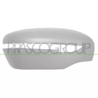 Revêtement, rétroviseur extérieur PRASCO DS7127423
