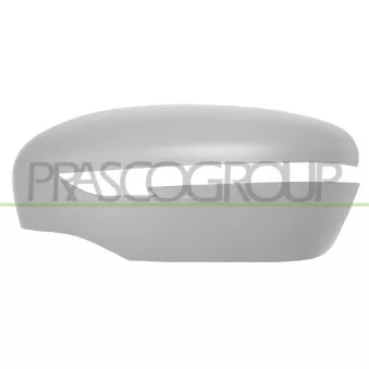 Revêtement, rétroviseur extérieur PRASCO DS7127424