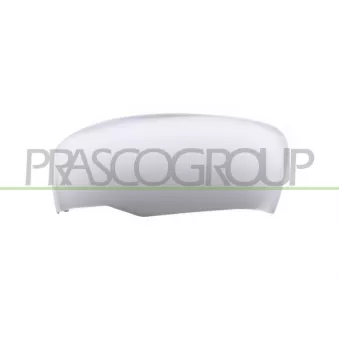 Revêtement, rétroviseur extérieur PRASCO DS8187414
