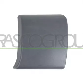 PRASCO DS9521416 - Baguette et bande protectrice, porte avant gauche