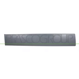 Baguette et bande protectrice, porte avant droit PRASCO DS9521453
