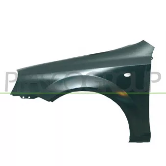 Aile avant gauche PRASCO DW0093014