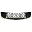 PRASCO DW0402011 - Grille de radiateur