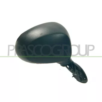 Rétroviseur extérieur PRASCO DW3257001
