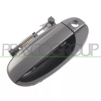 Poignée extérieure de porte avant gauche PRASCO OEM 96541631