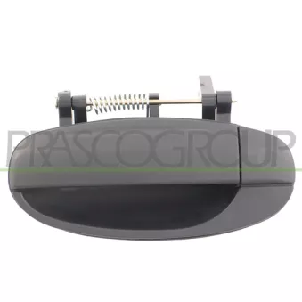 Poignée extérieure de porte arrière gauche PRASCO OEM 96583052