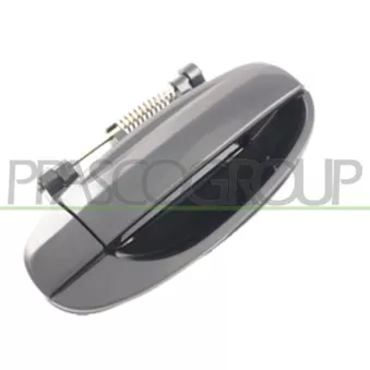Poignée extérieure de porte arrière droit PRASCO OEM 96410237