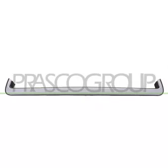 Baguette et bande protectrice, grille de radiateur PRASCO DW3272206