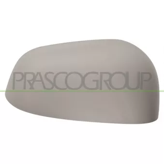 Revêtement, rétroviseur extérieur PRASCO DW3407413