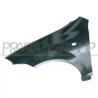 PRASCO DW4103014 - Aile avant gauche