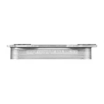 PRASCO DZ3043 - Radiateur d'huile