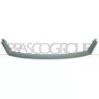 PRASCO FD1072305 - Cadre, grille de radiateur