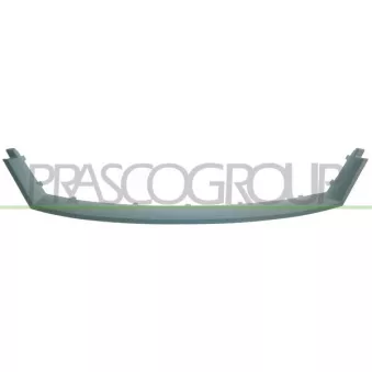 Cadre, grille de radiateur PRASCO OEM 1208036