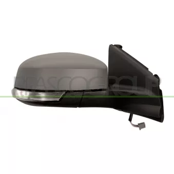 Rétroviseur extérieur PRASCO OEM 1695541