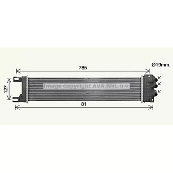 PRASCO FD2687 - Radiateur, refroidissement du moteur