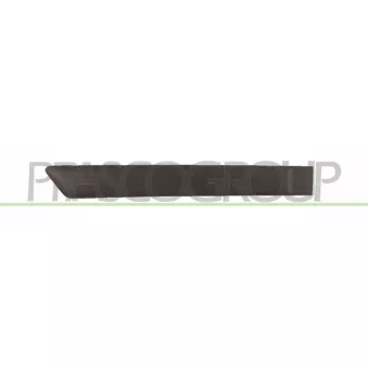Baguette et bande protectrice, porte arrière droit PRASCO OEM 1536981