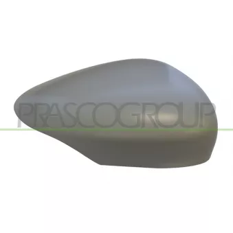 Revêtement, rétroviseur extérieur PRASCO OEM 1633085