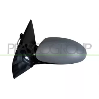 Rétroviseur extérieur PRASCO OEM 1077786