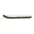 PRASCO FD4221253 - Baguette et bande protectrice, pare-chocs arrière droit